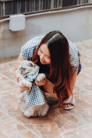 Close up of young Asian woman playing with her persian cat, human-animal relationships.の写真素材