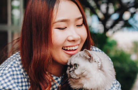 Close up of young Asian woman playing with her persian cat, human-animal relationships.の写真素材