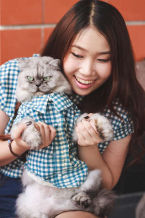 Close up of young Asian woman playing with her persian cat, human-animal relationships.の写真素材