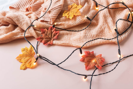 Pink cardigan with fairy lights and maple leaves on a pink background.