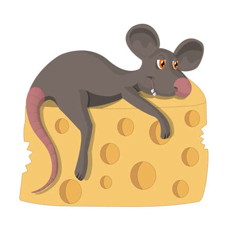 A contented rat with a piece of cheese. The illustration is divided into separate layers: rat, cheese, background.のイラスト素材