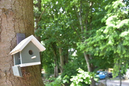 A lovely birdhouse on a tree in a garden, close-up