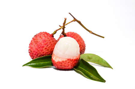 Lychee fruit on white background, Thailand の写真素材