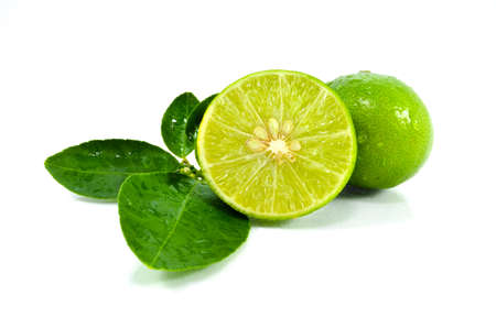 Lemon green in Thailand garden on a white background の写真素材