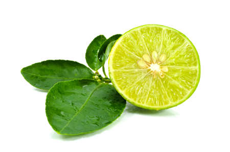 Lemon green in Thailand garden on a white background の写真素材