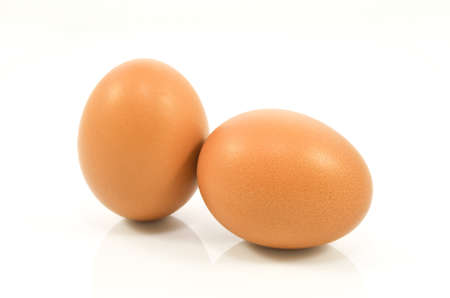 Brown chicken eggs isolated on white background with clipping pathの写真素材