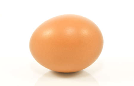Brown chicken egg isolated on white background with clipping pathの写真素材