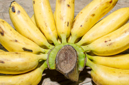 Bunch of bananas, clipping path included  On a wood background の写真素材