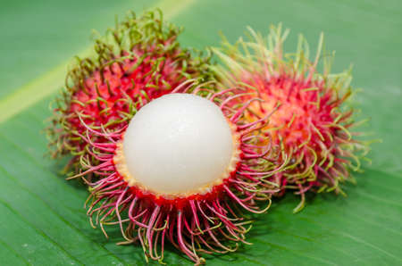 Thailand rambutan fruits on banana leafの写真素材