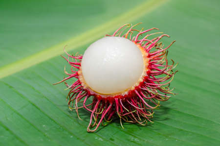Thailand rambutan fruits on banana leafの写真素材