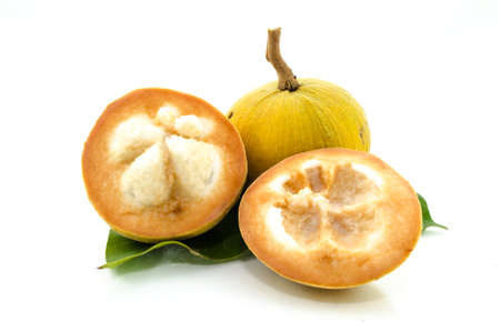 Santol, tropical fruit on white background,Sweet Foodの写真素材