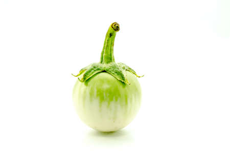 fresh organic green eggplant isolated on white backgroundの写真素材