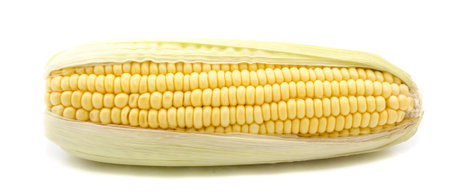 Ear of Corn isolated on a white background