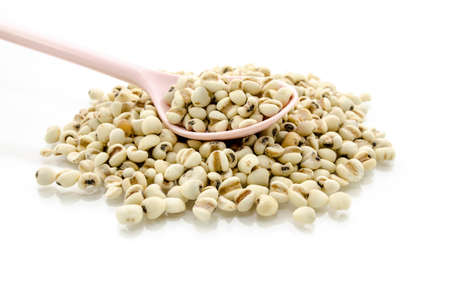 Organic millet grains separated from a white background, macro zoom.の写真素材