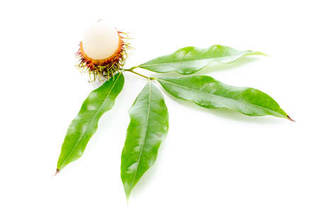 Rambutan fruits isolated on white background.の写真素材