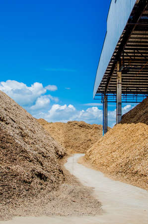 Pile of wood chips at biomass co-generation plant at the foreground in focus with beautiful blue sky in the background out of focusの写真素材