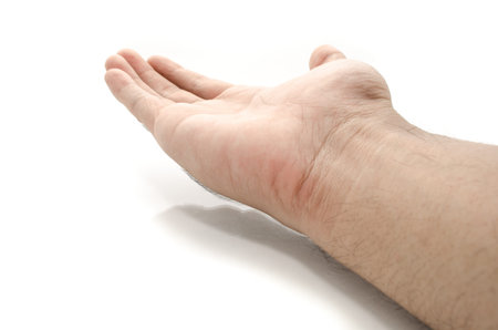 Hands open against a white background.Studio shot.