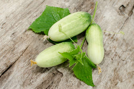 Fresh from the garden cucumbers on the wooden floor.の写真素材