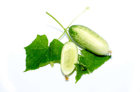 bullish cucumbers  Isolated on white backgroundの写真素材