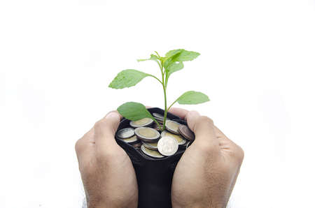 man's hands protecting the money plantの写真素材