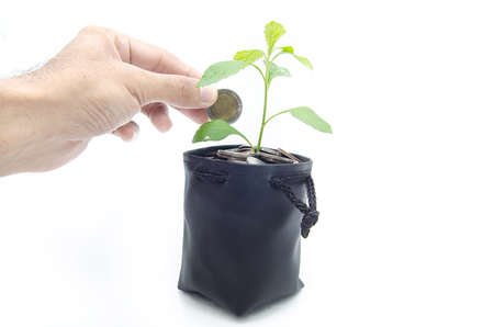 Investing to green business on white backgroundの写真素材