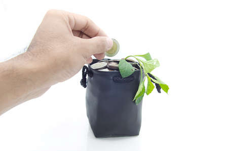 Investing to green business on white backgroundの写真素材