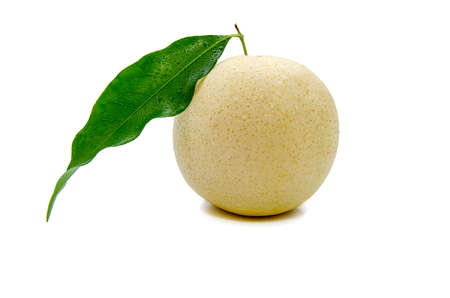ripe pears isolated on white backgroundの写真素材