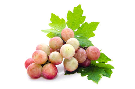 Grape cluster with leaves isolated on a white backgroundの写真素材