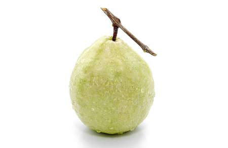 Guava (tropical fruit) isolated on white backgroundの写真素材
