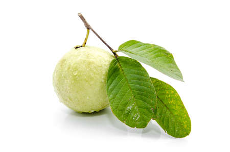 Guava (tropical fruit) isolated on white backgroundの写真素材