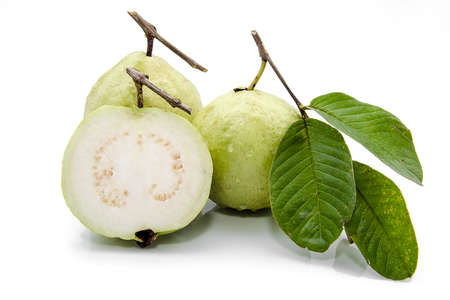 Guava (tropical fruit) isolated on white backgroundの写真素材