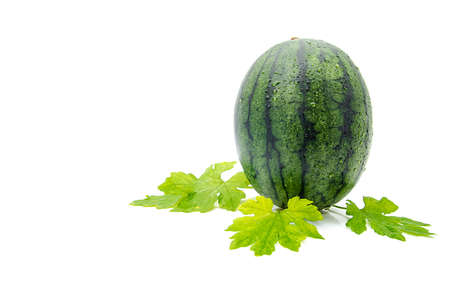 Ripe sweet watermelon isolated on white backgroundの写真素材