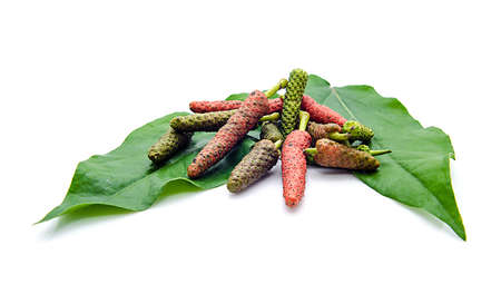 Long pepper or Piper longum isolated on white backgroundの写真素材