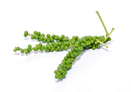 Fresh pepper on white backgroundの写真素材