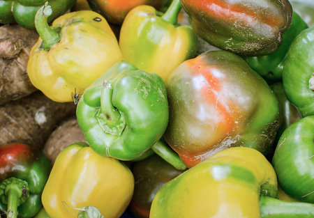 Peppers fresh from the market.