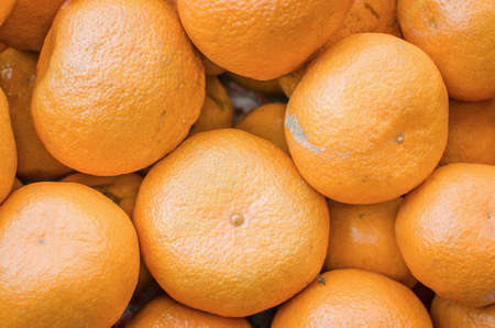 Fresh oranges on the marketの写真素材