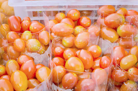 Fresh tomatoes in bags placed on the market.の写真素材
