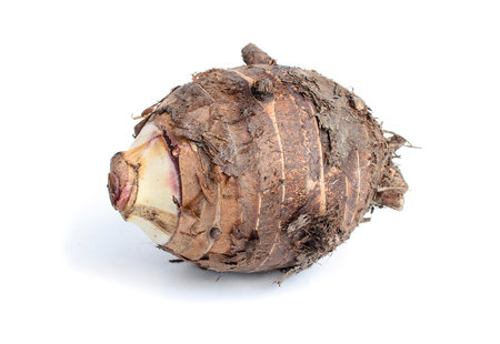 Group of taro roots on whiteの写真素材