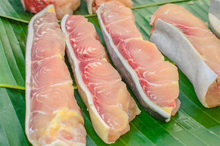 Slice of fish / meatの写真素材