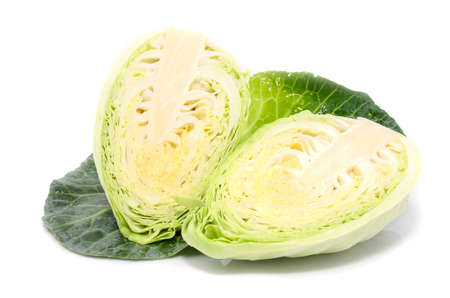 cabbage with green large leaves grows isolate on white backgroundの写真素材