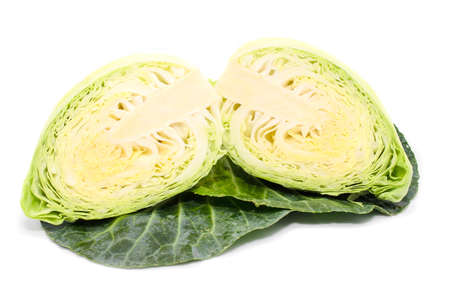 cabbage with green large leaves grows isolate on white backgroundの写真素材