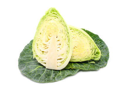 cabbage with green large leaves grows isolate on white backgroundの写真素材