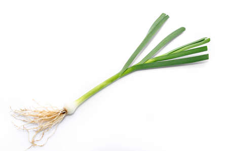 bonded spring onion in front of isolate on white Backgroundの写真素材
