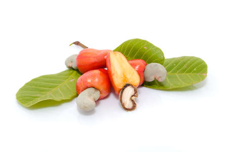 Tropical Cashew fruits on a white background .の写真素材