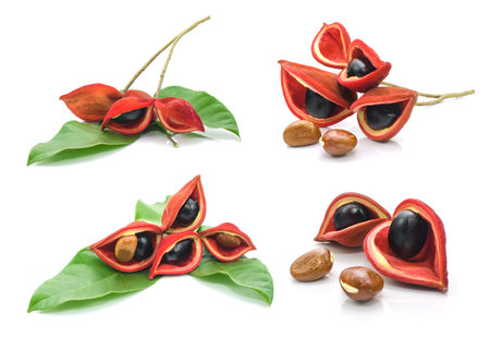 chestnuts isolate on whitebackground