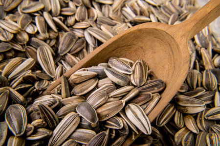 sunflower seed in a wooden spoonsの写真素材