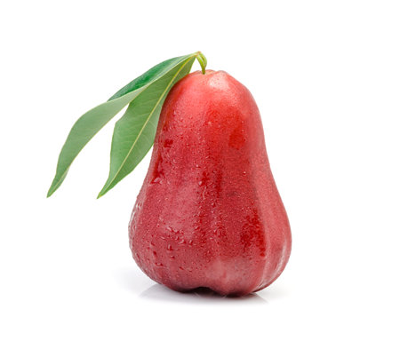 Rose apples or chomphu isolated on white background