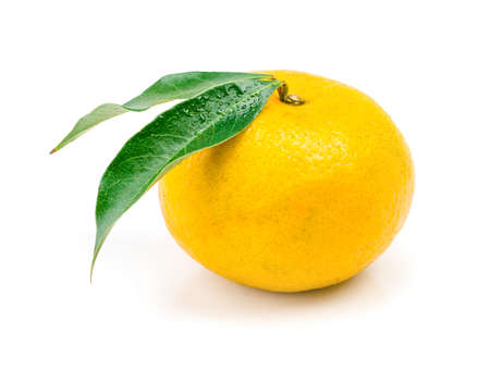 Orange fruit isolated on white backgroundの写真素材