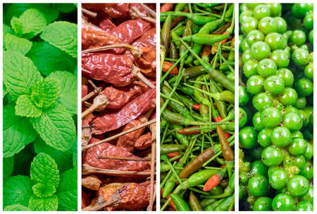 Collection of  vegetables. Vegetable collage close-up background.の写真素材