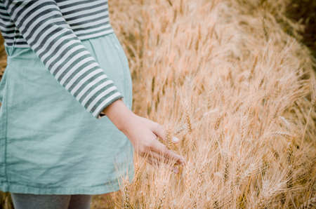 Happy family: a young beautiful pregnant woman walking in the wheat orange barley field on a sunny summer day.の写真素材